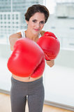 Sporty brunette boxing looking at camera