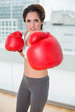 Focused brunette boxing and looking at camera