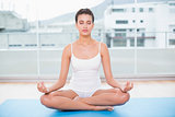 Peaceful natural brown haired woman in white sportswear practicing yoga