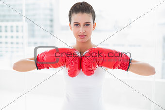 Serious natural brown haired woman in white sportswear wearing boxing gloves