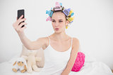 Funny natural brown haired woman in hair curlers taking a picture of herself with mobile phone