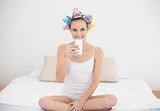 Attractive natural brown haired woman in hair curlers drinking milk