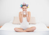 Calm natural brown haired woman in hair curlers enjoying coffee smell
