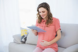 Content pregnant woman holding her tablet sitting on a couch in the living room