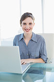 Content attractive businesswoman using her notebook sitting at her desk