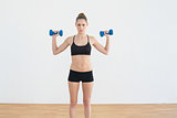 Concentrated fit woman lifting blue dumbbells