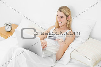 Relaxing calm woman using her notebook for home shopping