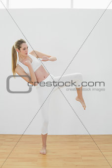 Lovely fit woman doing martial arts wearing sportswear
