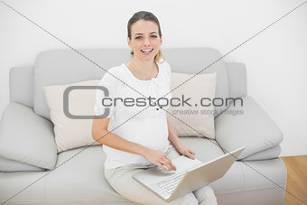 Gorgeous young pregnant woman using her notebook sitting on couch