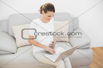 Peaceful young pregnant woman working with her laptop sitting on couch