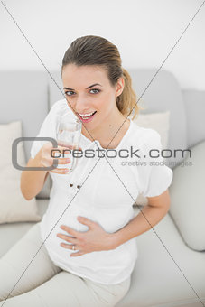 Attractive pregnant woman touching her belly holding a glass of water