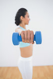 Sporty young woman lifting blue dumbbells