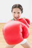 Beautiful young woman in red boxing gloves at fitness studio