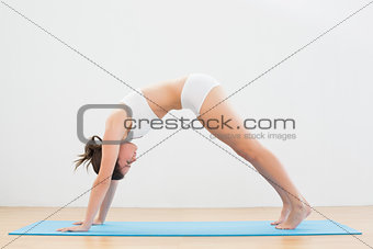 Sporty young woman doing the Downward Facing Dog pose