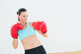 Fit beautiful young woman in red boxing gloves