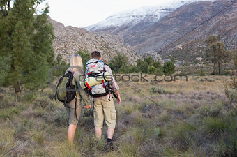 Couple with backpacks walking on forest landscape