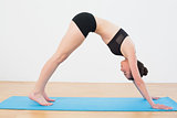 Fit woman doing the Downward Facing Dog pose