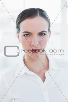 Close up portrait of an elegant businesswoman