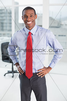 Elegant smiling Afro businessman standing in office