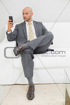 Businessman text messaging on sofa at home