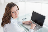 Portrait of smiling brown haired businesswoman using laptop