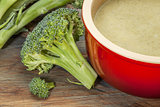 broccoli cream soup
