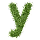 Letter of the alphabet made ​​from grass