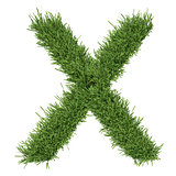 Letter of the alphabet made ​​from grass