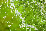 Falling Water Splash over Green Abstract Background with Room fo
