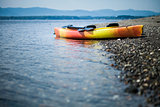 Orange and Yellow Kayak With Oars on the Sea Shore