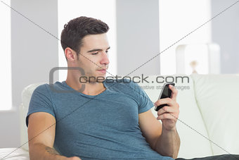 Handsome man relaxing on couch texting