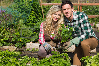 Smiling young couple crouchng in their garden holding a plant