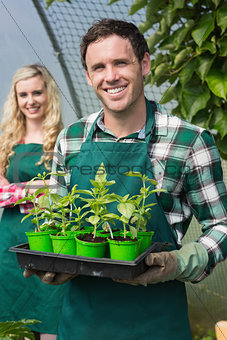 Young man showing carton of small plants