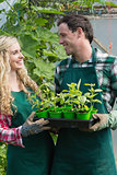 Laughing couple holding carton of small plants
