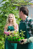 Man holding carton of small plants and turning to his girlfriend