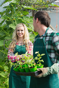 Man holding carton of small plants and turning to his smiling girlfriend