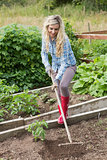 Blonde woman working with a rake