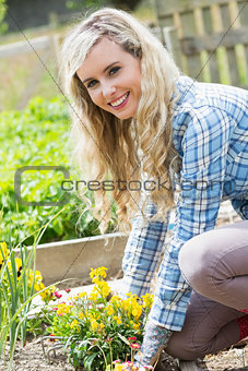 Blonde woman planting yellow flowers smiling at camera