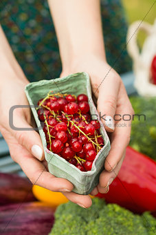 Hands holding carton of redcurrants