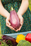 Hands holding an aubergine