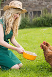 Young woman feeding her chicken