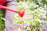 Woman watering flowers with red watering can