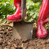 Woman wearing red rubber boots using shovel