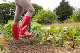 Woman wearing jeans and red rubber boots in her garden