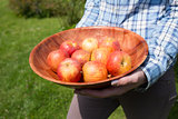 Woman holding a bowl of fresh red apples