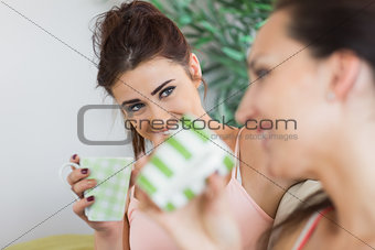 Pretty brunette women chatting while sitting on a couch