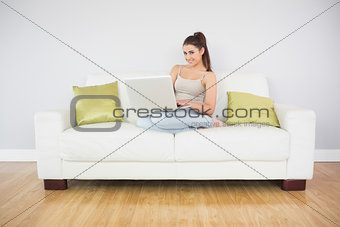 Pretty brunette woman using her laptop on a sofa