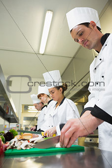 Four chefs preparing food at counter in a row