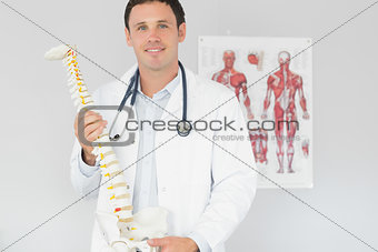 Handsome content doctor holding skeleton model