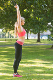 Active concentrating blonde stretching her arms